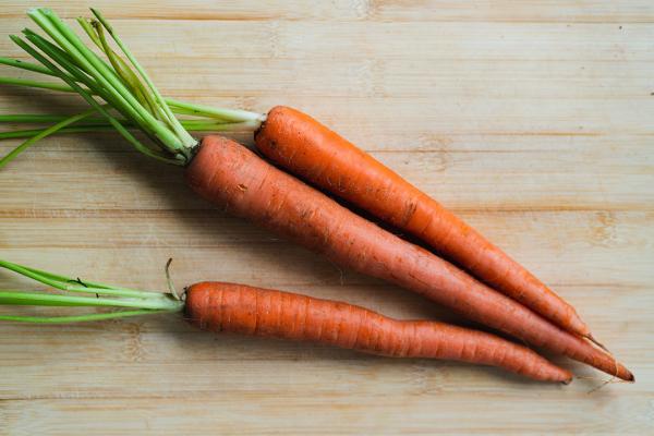 破解「兔子愛吃紅蘿蔔」謬誤 過多紅蘿蔔或有致命危機！