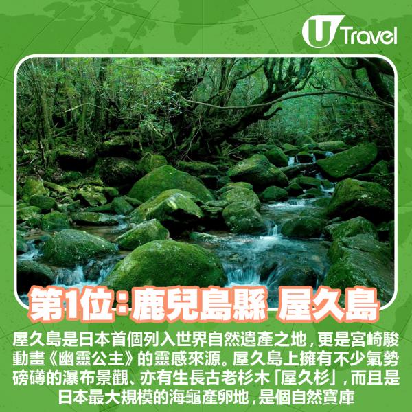 屋久島是日本首個列入世界自然遺產之地，更是宮崎駿動畫《幽靈公主》的靈感來源。屋久島上擁有不少氣勢磅礡的瀑布景觀、亦有生長古老杉木「屋久杉」，而且是日本最大規模的海龜產卵地，是個自然寶庫