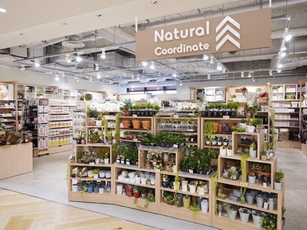 DAISO 兩大新 Line 開幕 Standard Products、Natural Coordinate