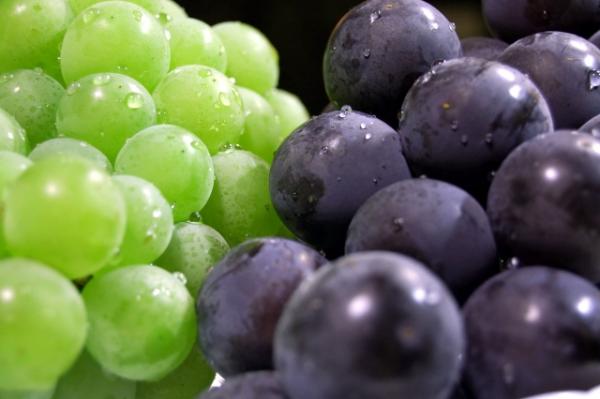 買日本葡萄前必讀秘訣 水果專家教你點揀巨峰/香印提子