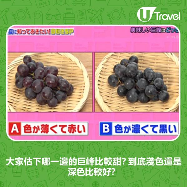 你覺得哪一邊的巨峰葡萄會比較甜？到底是較淺色的葡萄還是深黑色的葡萄比較好吃呢？