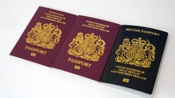 為何全球護照只有「紅藍綠黑」4種顏色？揭護照顏色背後意思