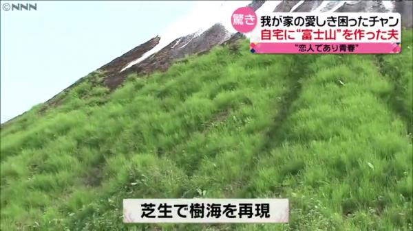又利用草地重現富士山下的樹海