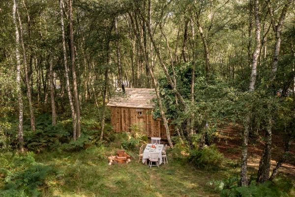 Airbnb推「一日維尼」體驗 實體化森林樹屋、還原插畫風格
