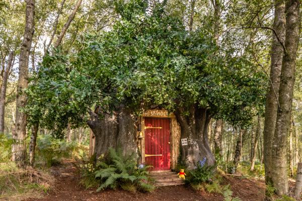 Airbnb推「一日維尼」體驗 實體化森林樹屋、還原插畫風格