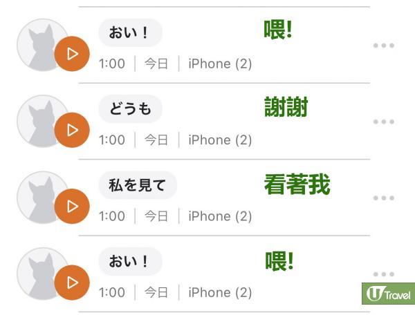 日本飼主用貓語App翻譯主子說話 結果出乎意料惹笑網民