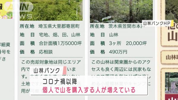日本疫情下掀買山風潮 用港幣3.5萬買起座山獨佔營地