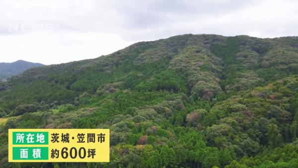 日本疫情下掀買山風潮 用港幣3.5萬買起座山獨佔營地