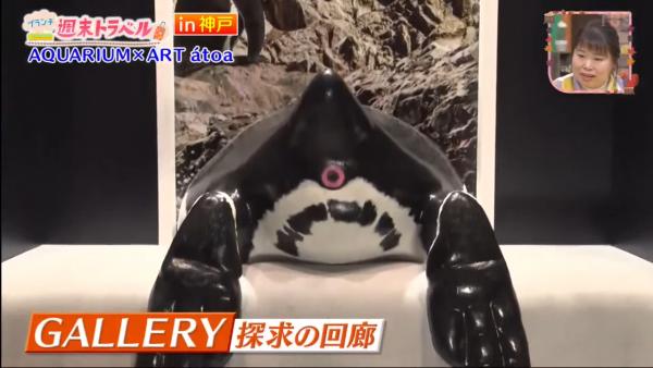 日本水族館推另類體驗聞動物屁股 主持試聞企鵝即面容扭曲！