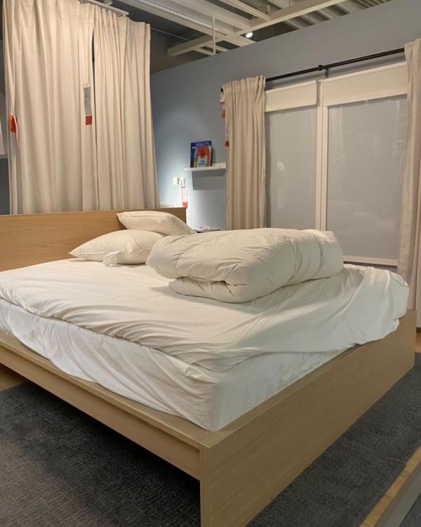 暴風雪吹襲丹麥癱瘓交通 IKEA變避難所收留客人員工過夜