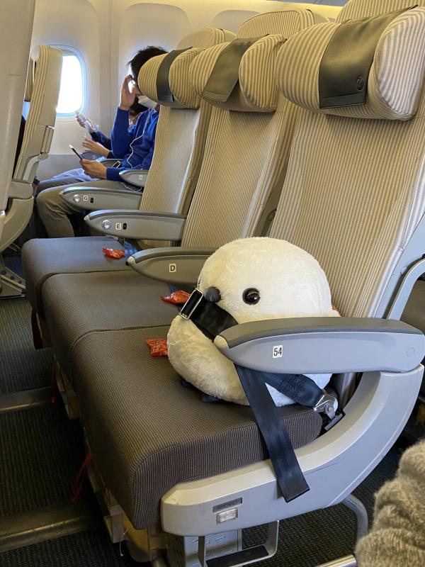 女乘客抱住公仔坐飛機 空姐擔心安全「神對應」超暖心！