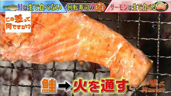 日文「鮭」和「Salmon」都解作三文魚 兩者有何分別？一原因揭不會有「鮭」壽司