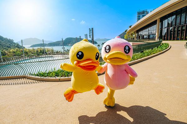 【恆溫玩水】水上樂園最新2大優惠門票 巨型10米高吹氣B.Duck游入湧浪灣