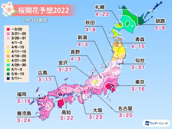 2022日本全國櫻花開花期預測 廣島、福岡3月中尾率先開花