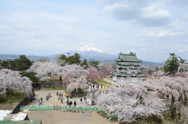 2022日本全國櫻花開花期預測 廣島、福岡3月中尾率先開花