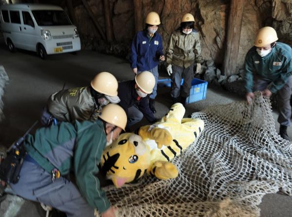 日本動物園進行「猛獸逃亡演練」 工作人員穿老虎裝落力演「猛獸」