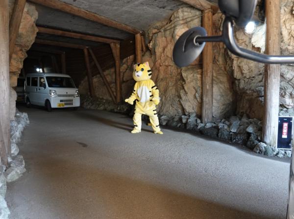 日本動物園進行「猛獸逃亡演練」 工作人員穿老虎裝落力演「猛獸」