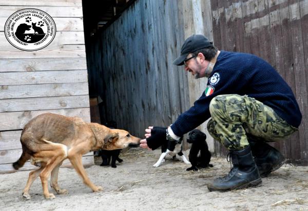 意大利攝影師留守烏克蘭 興建動物收容所寧死堅守400隻毛孩