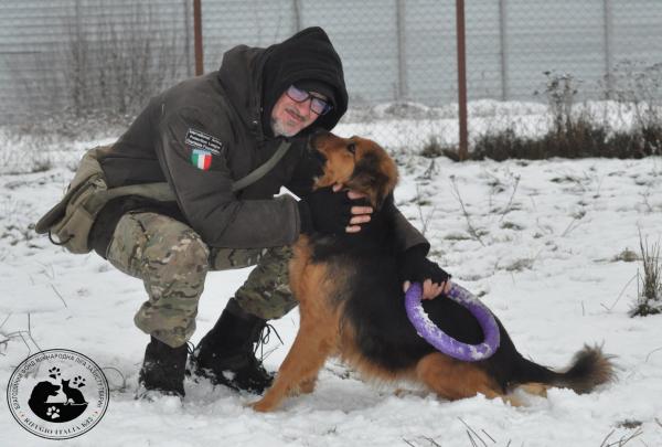 意大利攝影師留守烏克蘭 興建動物收容所寧死堅守400隻毛孩