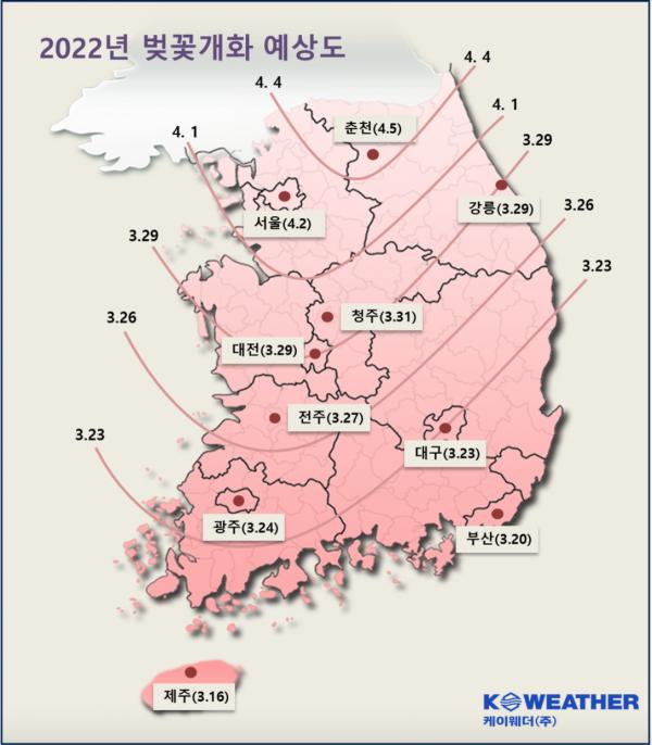 2022韓國櫻花開花期預測 濟州、釜山3月中尾率先開花