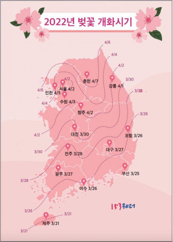 2022韓國櫻花開花期預測 濟州、釜山3月中尾率先開花
