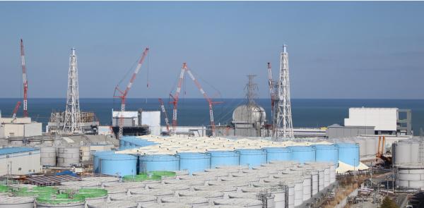 東電9月試用核電廠水廢水養比目魚 為日本明年排放核廢水確認安全性