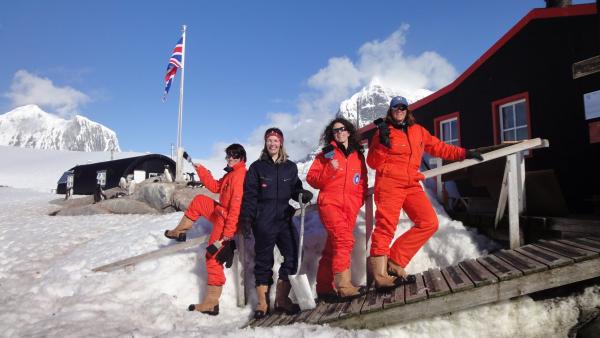 英國招募團隊去南極數企鵝 筍工月入過萬仲包食包住包機票