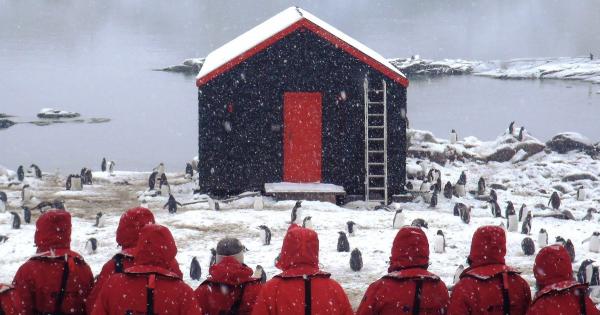 英國招募團隊去南極數企鵝 筍工月入過萬仲包食包住包機票