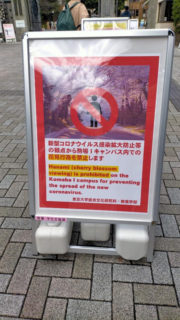 日本東京大學出告示禁止賞櫻 學生不滿製作海報賣眼罩反擊