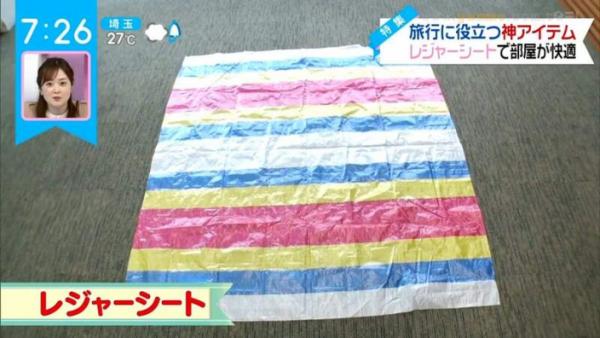 日本達人列5大旅遊必備好物 泡泡紙應該點用？連野餐墊都入選
