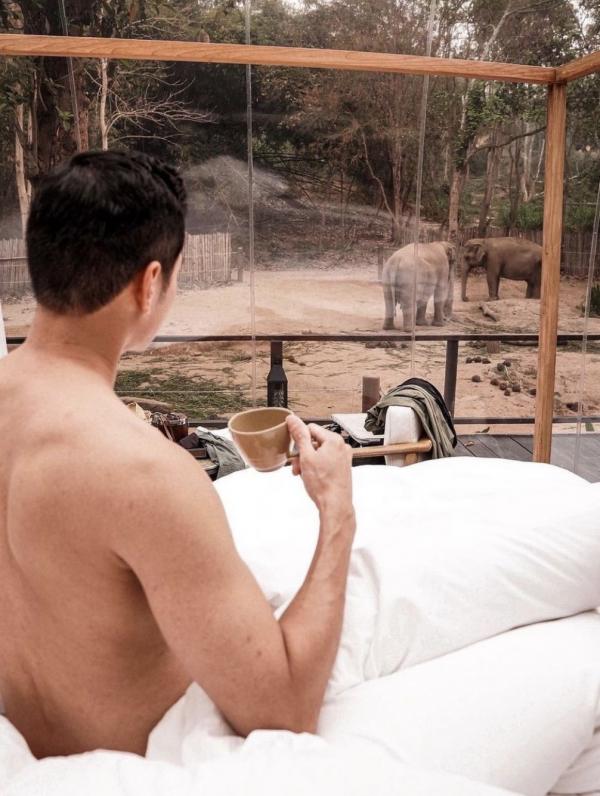 泰國雨林泡泡體驗豪華露營 林中零距離接觸大象 眺望夜間星空
