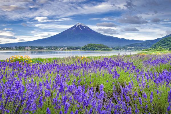 永安推出最平日本旅行團！ 6月尾出發 東京+輕井澤7天遊,999起