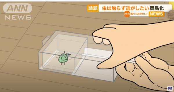 日本發明零接觸捕蟲神器 透明盒子內藏玄機！毋須殺生同蟲蟲講ByeBye