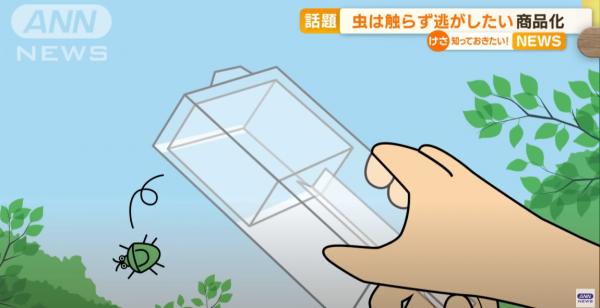 日本發明零接觸捕蟲神器 透明盒子內藏玄機！毋須殺生同蟲蟲講ByeBye