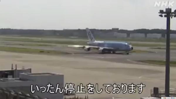 成田機場起飛跑道發現可愛生物！ 即時實施空中交通管制 延誤5個航班！