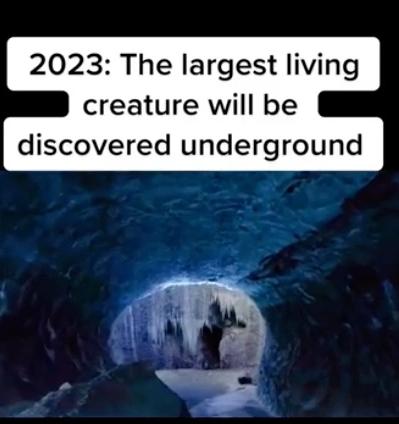 2096時空旅人預言未來3件大事 「神秘病毒」2024年全球肆虐！爆發點在這裡