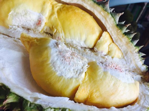 泰國推最新品種無臭榴槤 擁有柔軟香甜果肉 被譽為「完美組合」