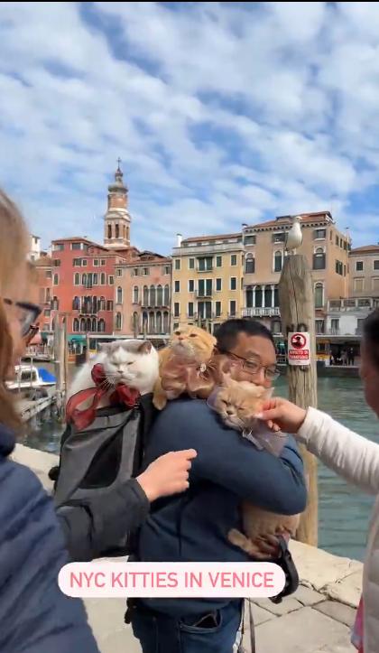 主人訓練貓星人外出一起「環遊世界」 扒在爸爸背上遊歷威尼斯、巴黎等地