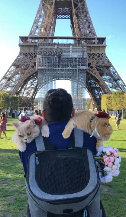 主人訓練貓星人外出一起「環遊世界」 扒在爸爸背上遊歷威尼斯、巴黎等地