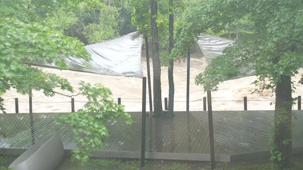 張寶兒日本拍攝遇暴雨成災被困酒店 全程直擊洪水情況 隔空大派「定心丸」