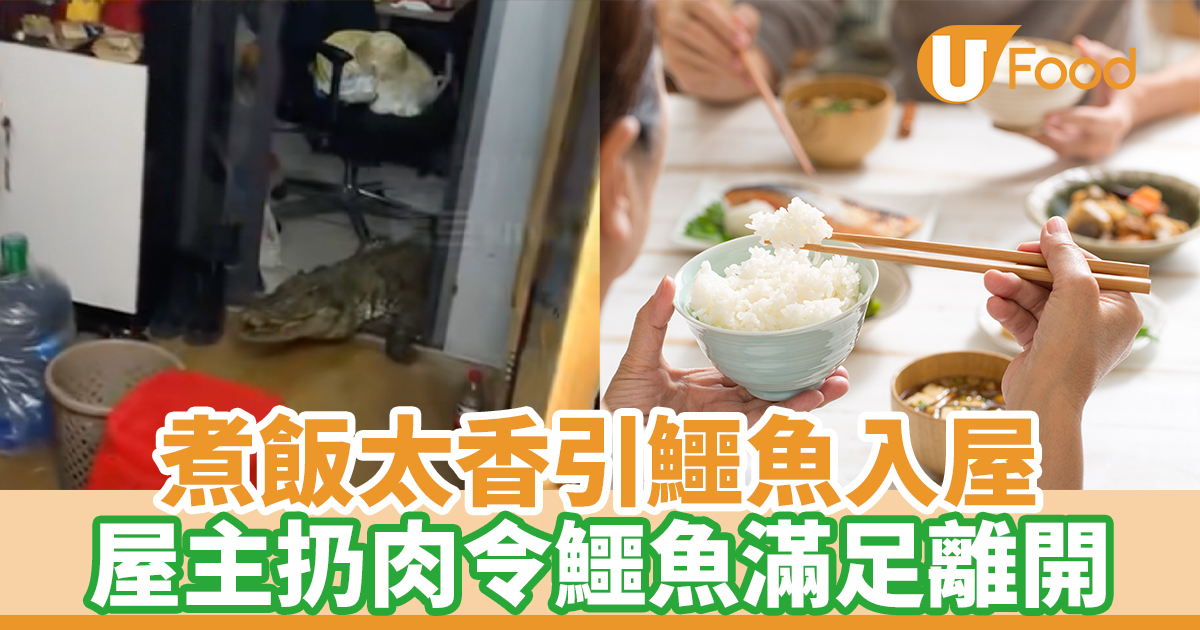 煮飯太香引鱷魚入屋 屋主扔肉令鱷魚滿足離開 | U Food