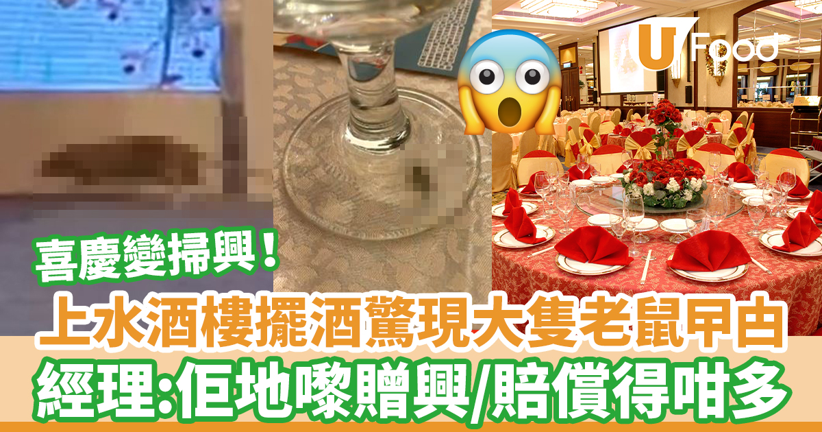 上水酒樓擺酒驚現大隻老鼠蟑螂經理回應：牠們來助興／只賠償這金額| U Food 香港餐廳及飲食資訊優惠網站