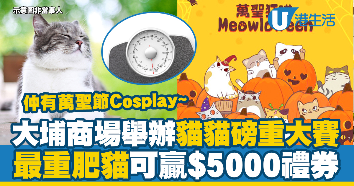 大埔商場貓貓磅重大賽！最重肥貓可贏$5000禮券　同場加映萬聖節Cosplay比賽