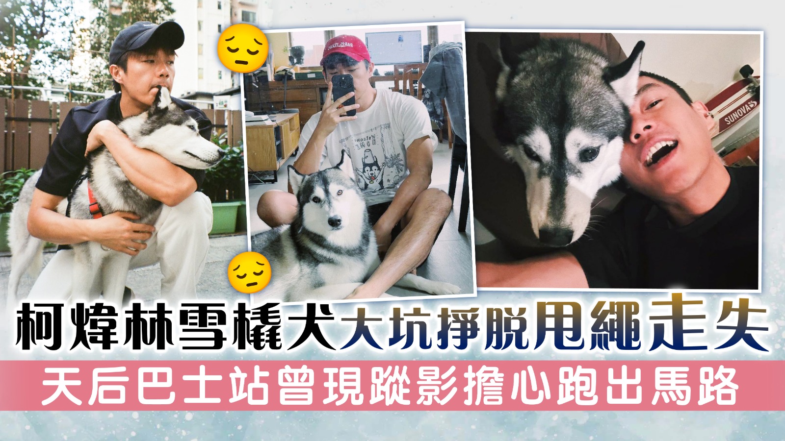 Le chien de traîneau de Ke Weilin, Tai Hang, s’est détaché de la laisse et a disparu. Il a été vu à l’arrêt de bus Tin Hau et craignait de sortir de la route | Hong Kong Life – À la recherche de bons endroits à Hong Kong