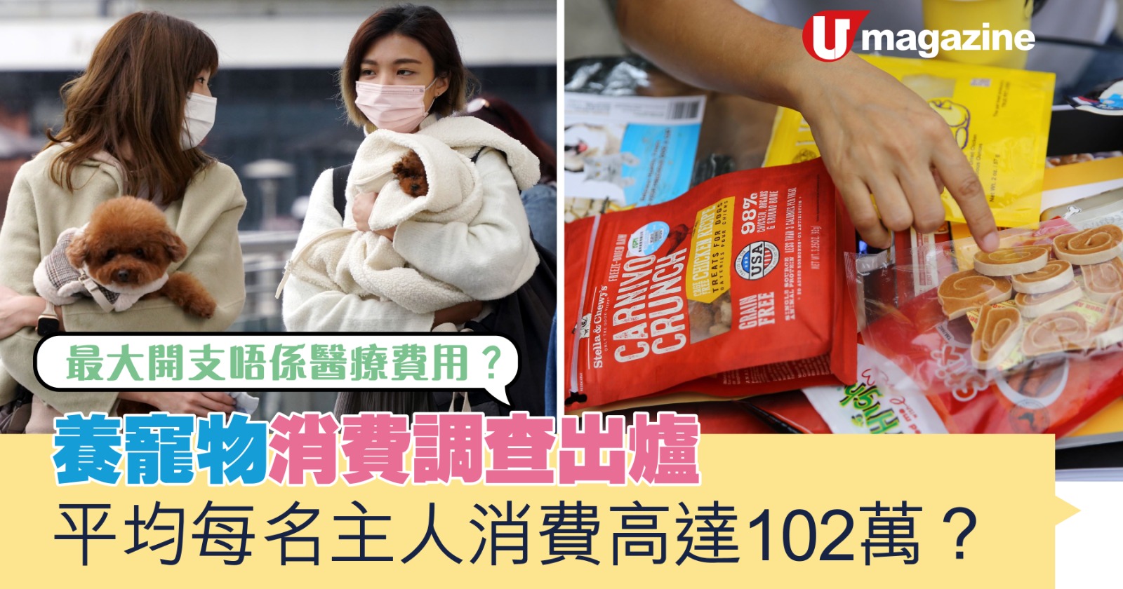 養寵物消費調查出爐  平均每名主人消費高達102萬？最大開支唔係醫療費用？