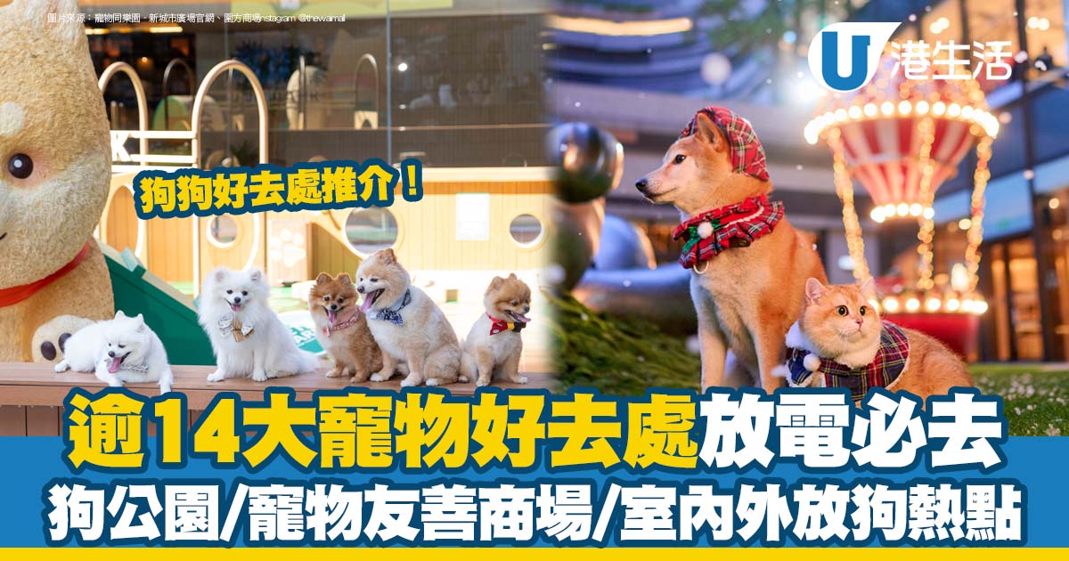 狗狗好去處推介｜香港寵物好去處！狗公園/寵物友善商場/室內外放狗熱點