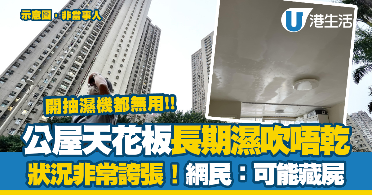 公屋天花板長期濕哂吹唔乾？狀況非常誇張 開抽濕機都無用！網民嚇窒：可能藏屍