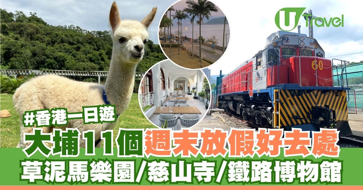 大埔11個週末放假好去處 親子草泥馬樂園/朝聖慈山寺/文青打卡鐵路博物館 