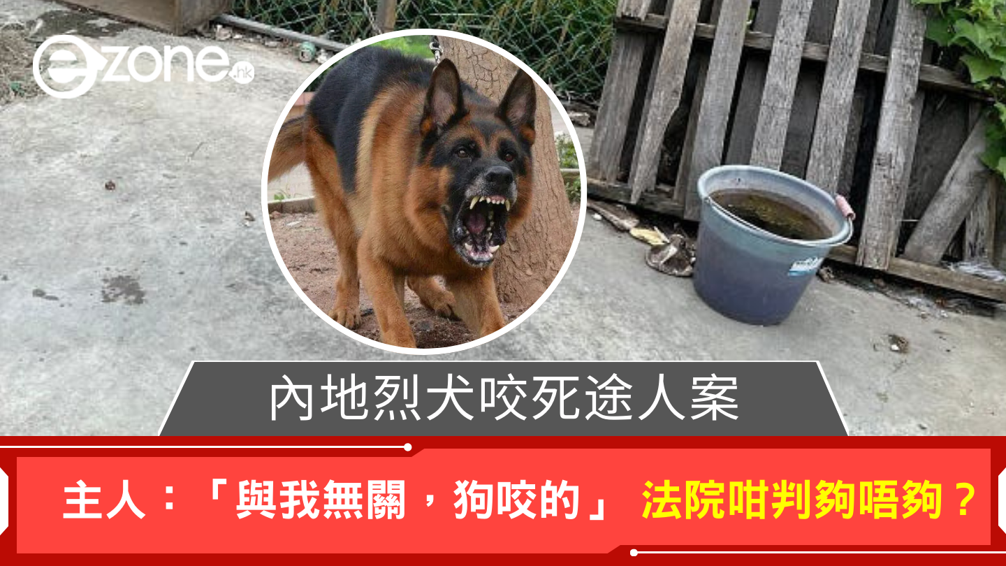 內地烈犬咬死途人案 主人辯解「唔關我事，狗咬的」法院咁判夠唔夠？ | ezone