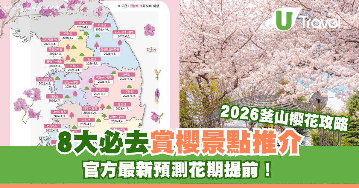 【2026釜山櫻花攻略】官方最新預測花期提前！8大賞櫻景點必去推介 